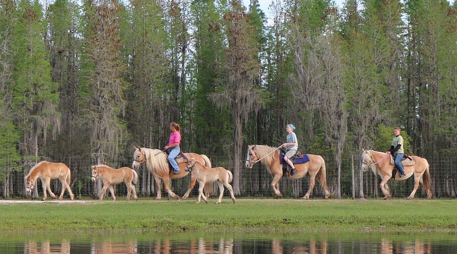 European city skyline